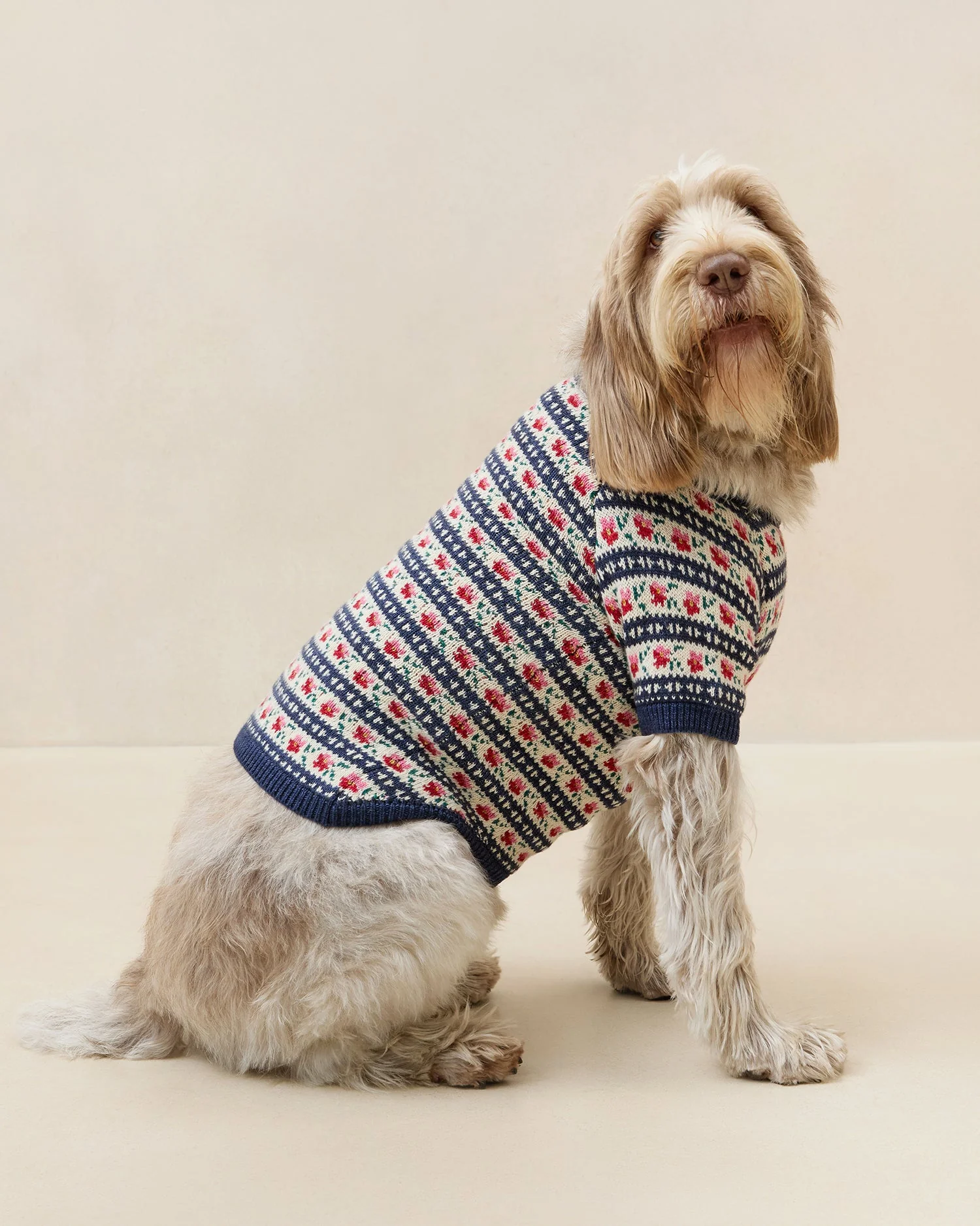 Intarsia Dog Sweater | Blue Jean Floral Intarsia - Image 4
