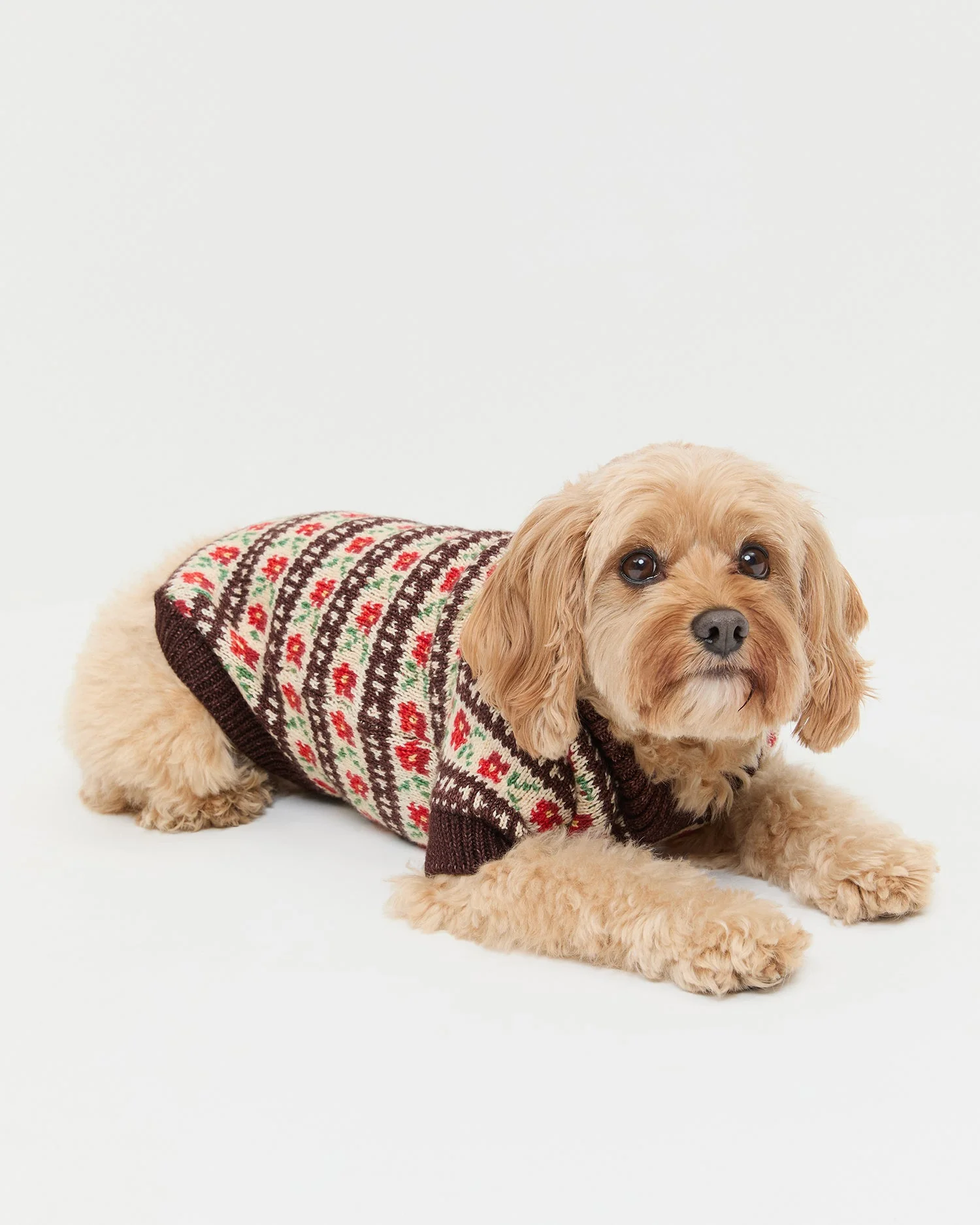 Intarsia Dog Sweater | Brown/Cream/Red Floral - Image 3
