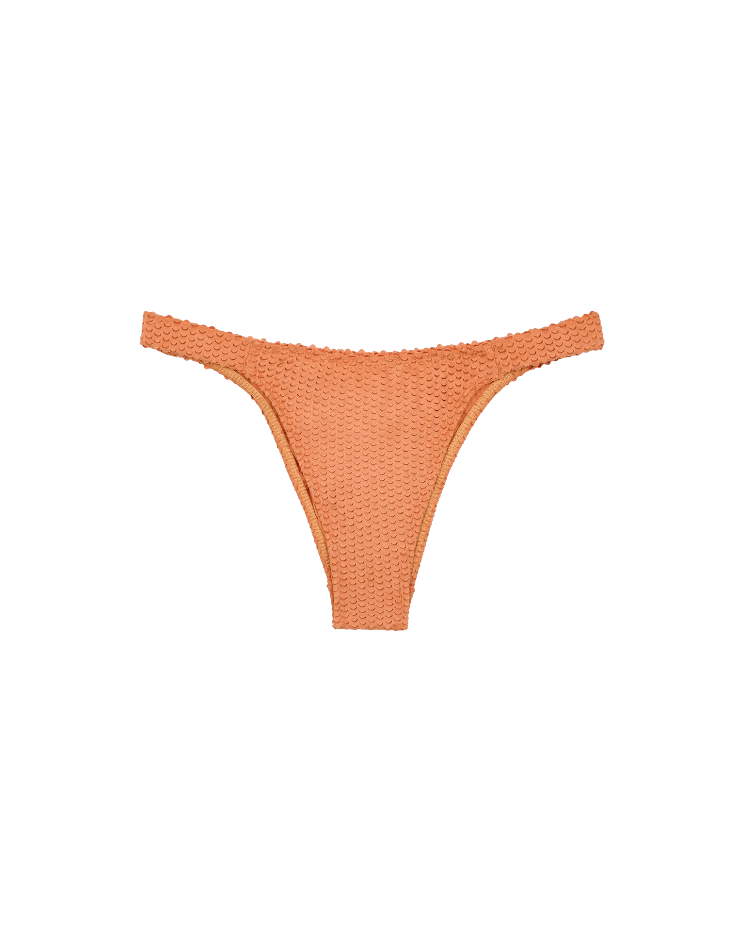 Scales Fany Bottom | Brazilian | Jam